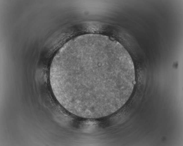 X0000115600313200912081119