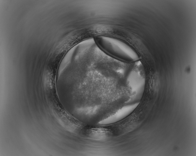 X0000115600316200912081119