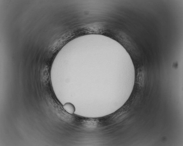 X0000115600318200912081119