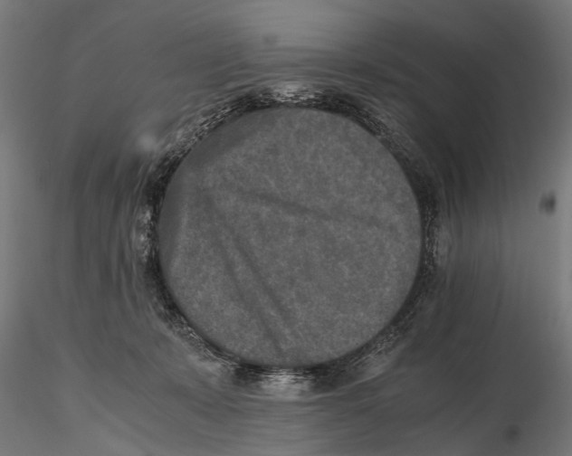 X0000115600319200912081119