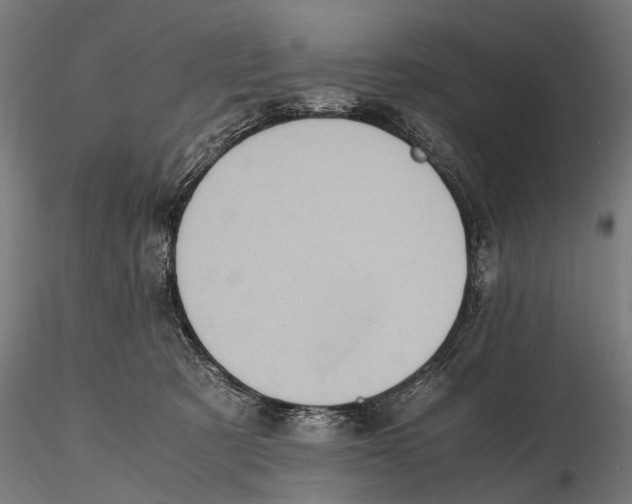 X0000115600321200912081119