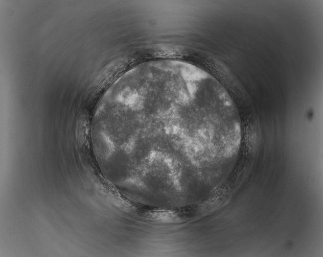 X0000115600322200912081119