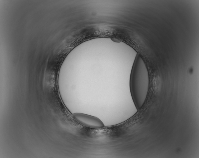 X0000115600323200912081119