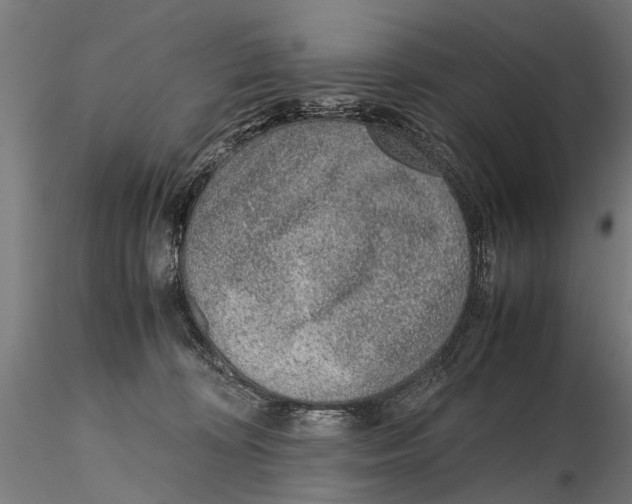 X0000115600324200912081119