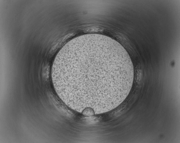 X0000115600326200912081119