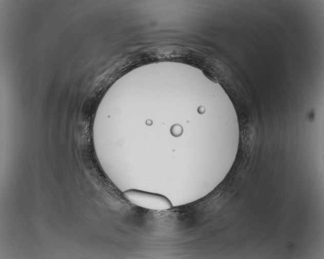 X0000115600327200912081119