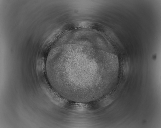 X0000115600328200912081119