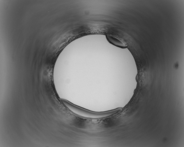 X0000115600329200912081119