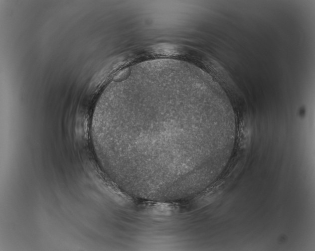 X0000115600330200912081119