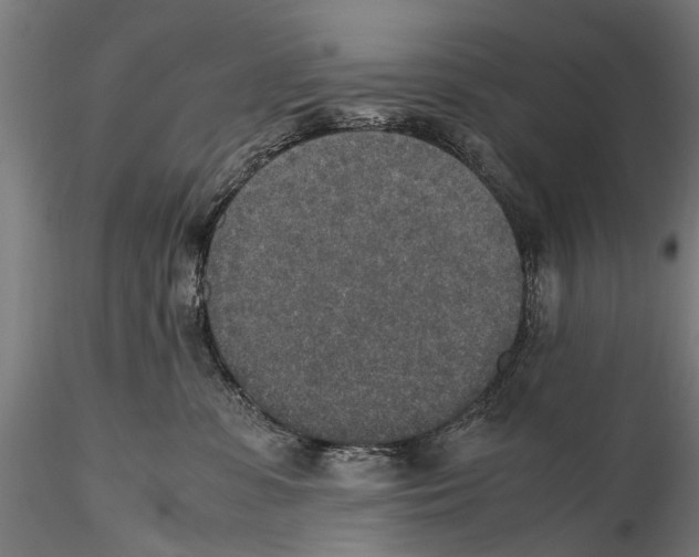 X0000115600331200912081119