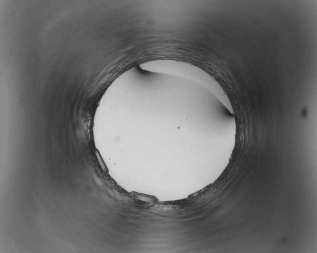 X0000115600332200912081119