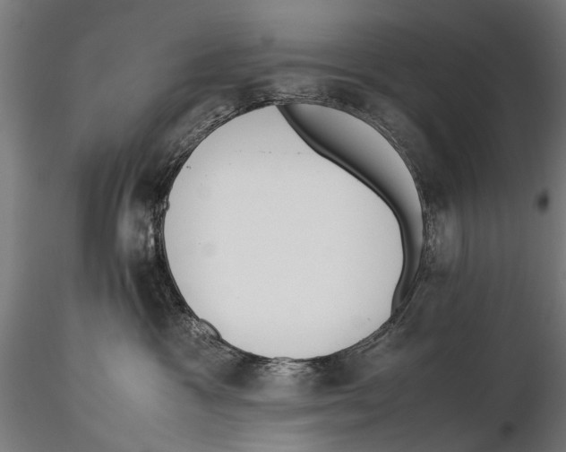 X0000115600333200912081119