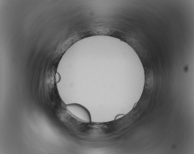 X0000115600334200912081119