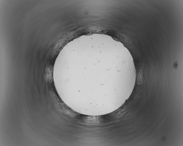 X0000115600335200912081119