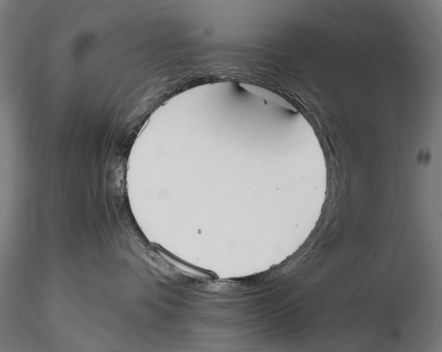 X0000115600336200912081119