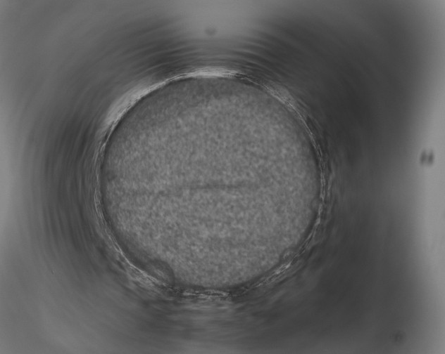 X0000115600337200912081118