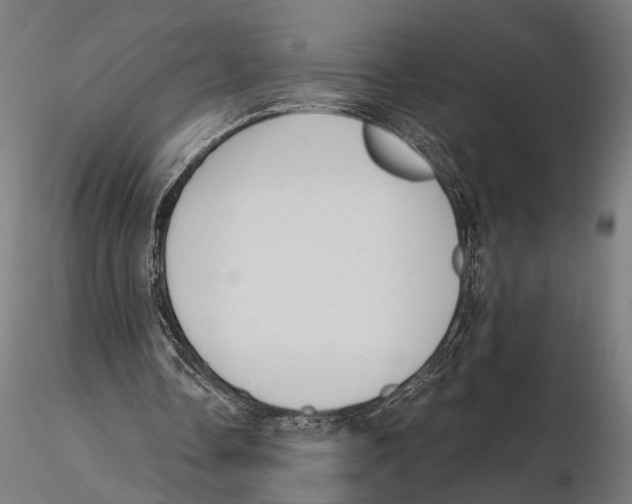 X0000115600338200912081118