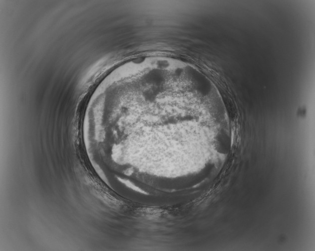 X0000115600339200912081118