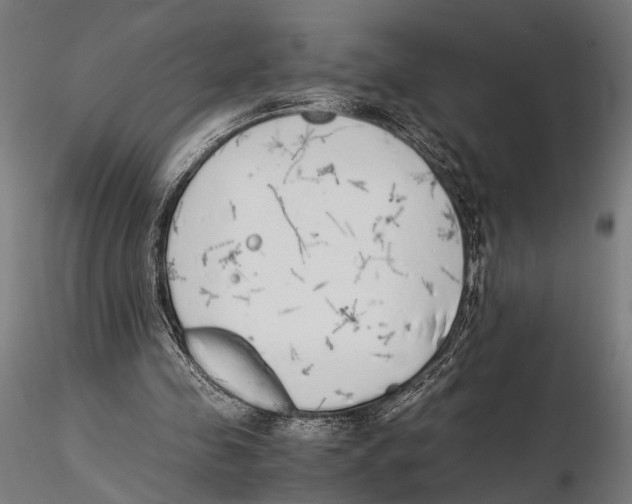 X0000115600341200912081118