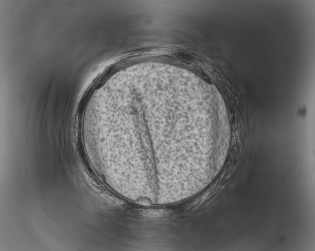 X0000115600342200912081118