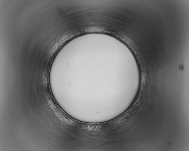 X0000115600345200912081118