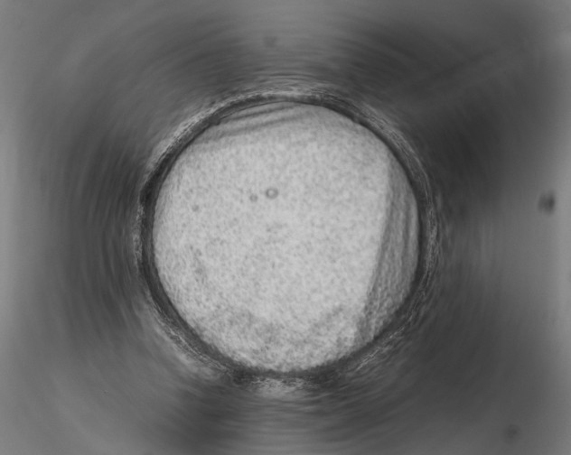 X0000115600346200912081118