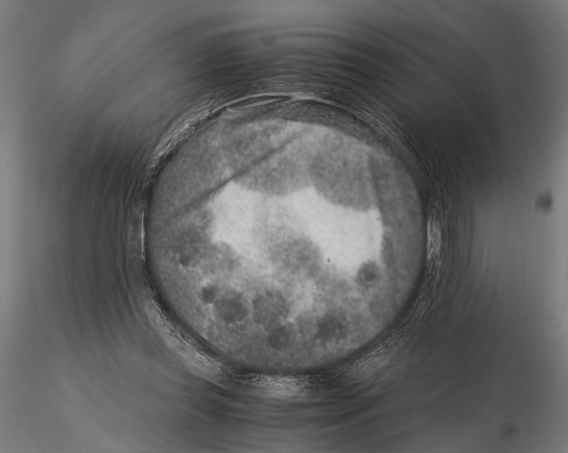 X0000115600349200912081118