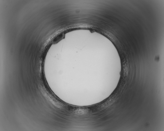 X0000115600350200912081118