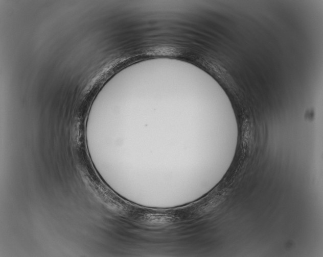 X0000115600351200912081118