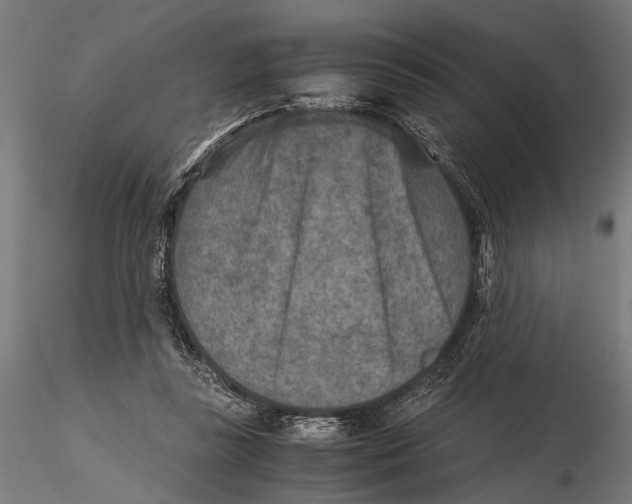 X0000115600355200912081118