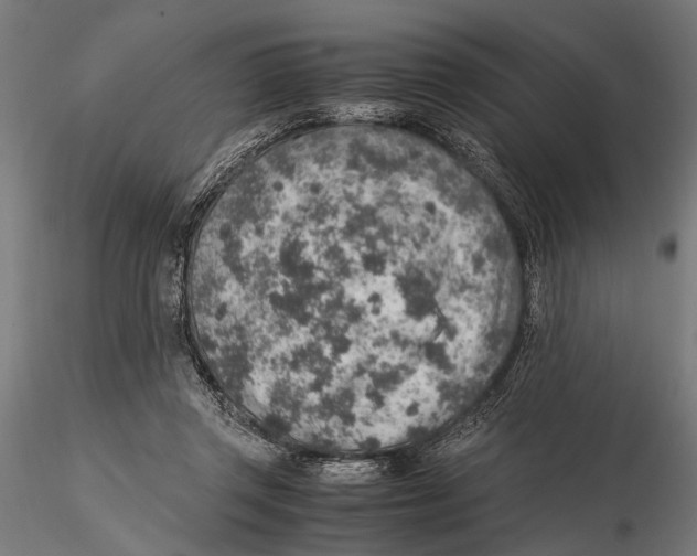 X0000115600357200912081118