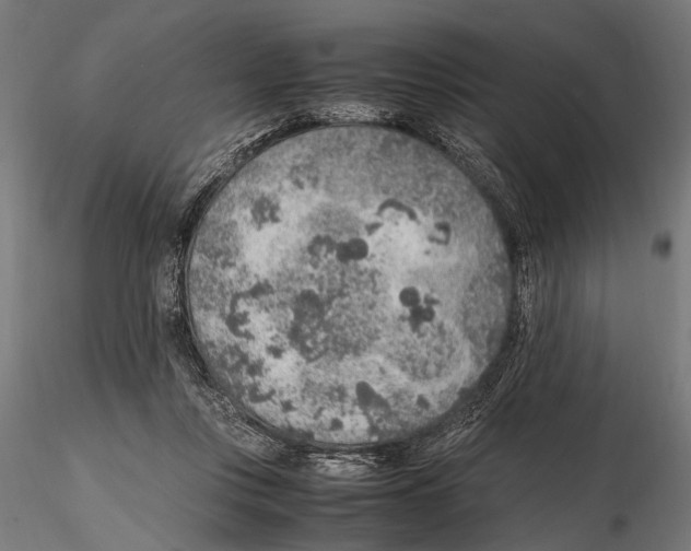 X0000115600359200912081118