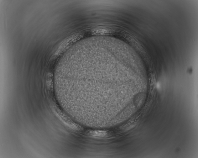 X0000115600361200912081118