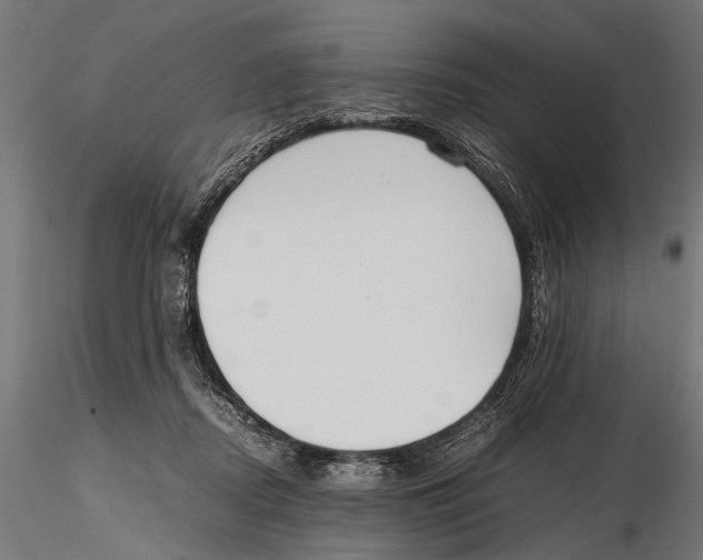 X0000115600362200912081119