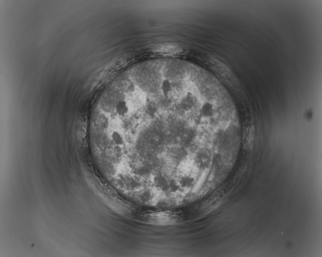 X0000115600365200912081119