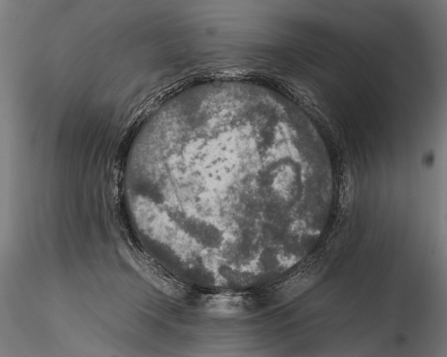 X0000115600366200912081119