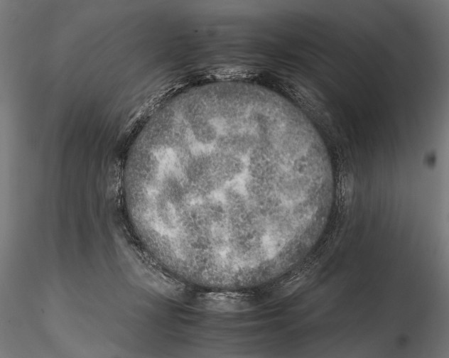 X0000115600367200912081119