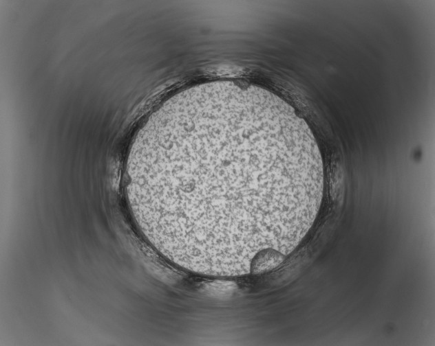 X0000115600374200912081119