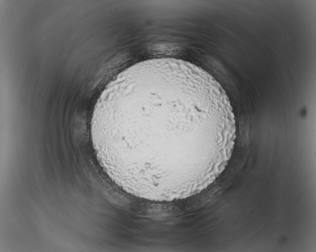 X0000115600377200912081119