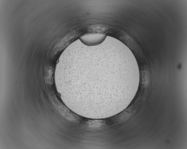 X0000115600378200912081119