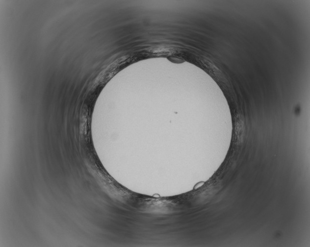 X0000115600379200912081119