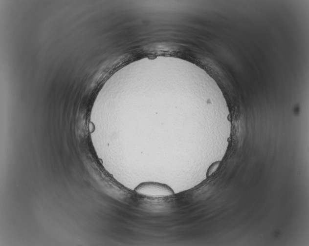 X0000115600381200912081119