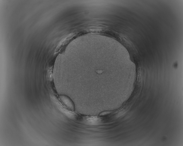 X0000115600383200912081119