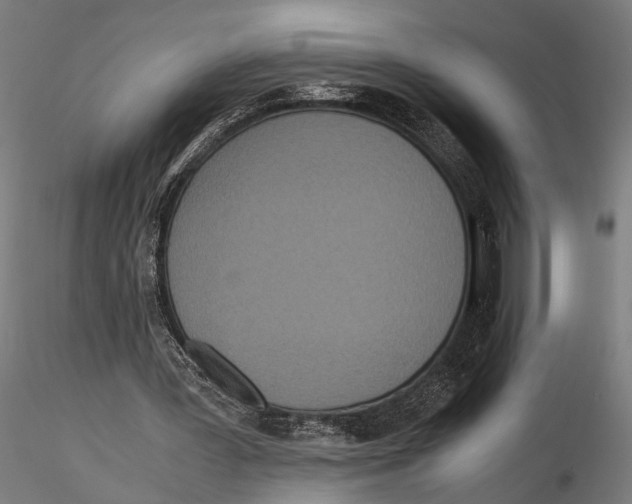 X0000115600387200912081118