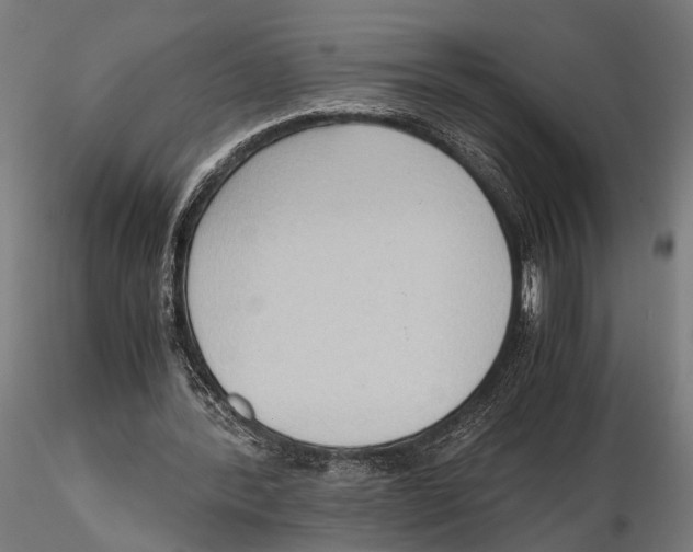 X0000115600388200912081118