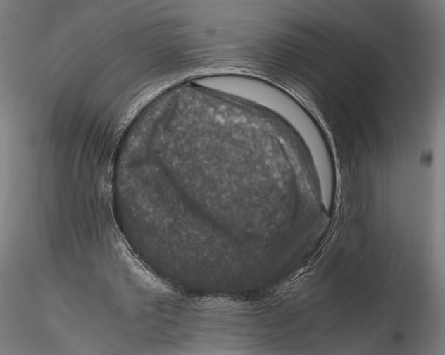 X0000115600389200912081118