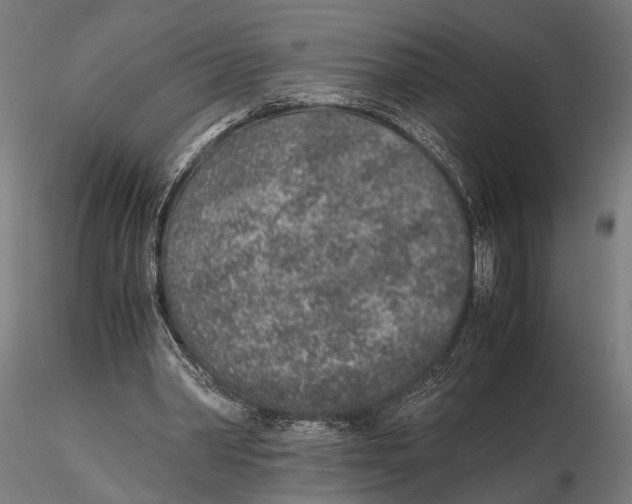 X0000115600390200912081118