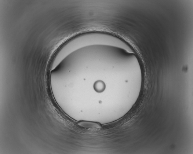 X0000115600391200912081118