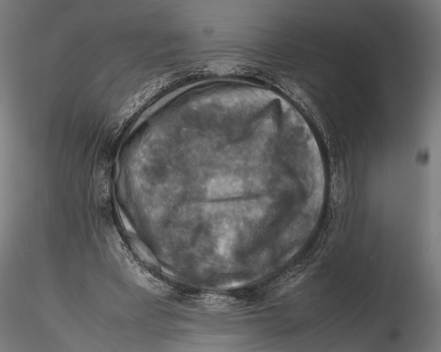 X0000115600393200912081118