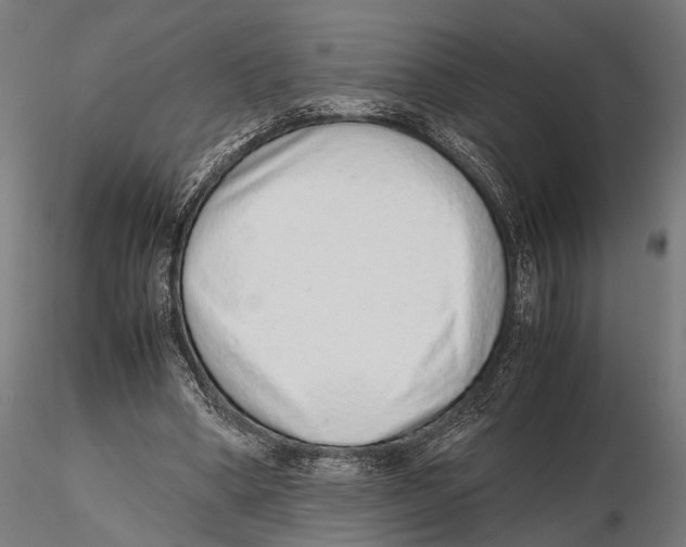 X0000115600394200912081118